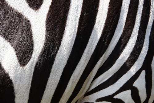 TREBLE begeleidt Capitalmind bij uitbreiding investering van Investec